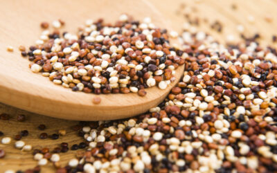 Mis en vedette: Quinoa